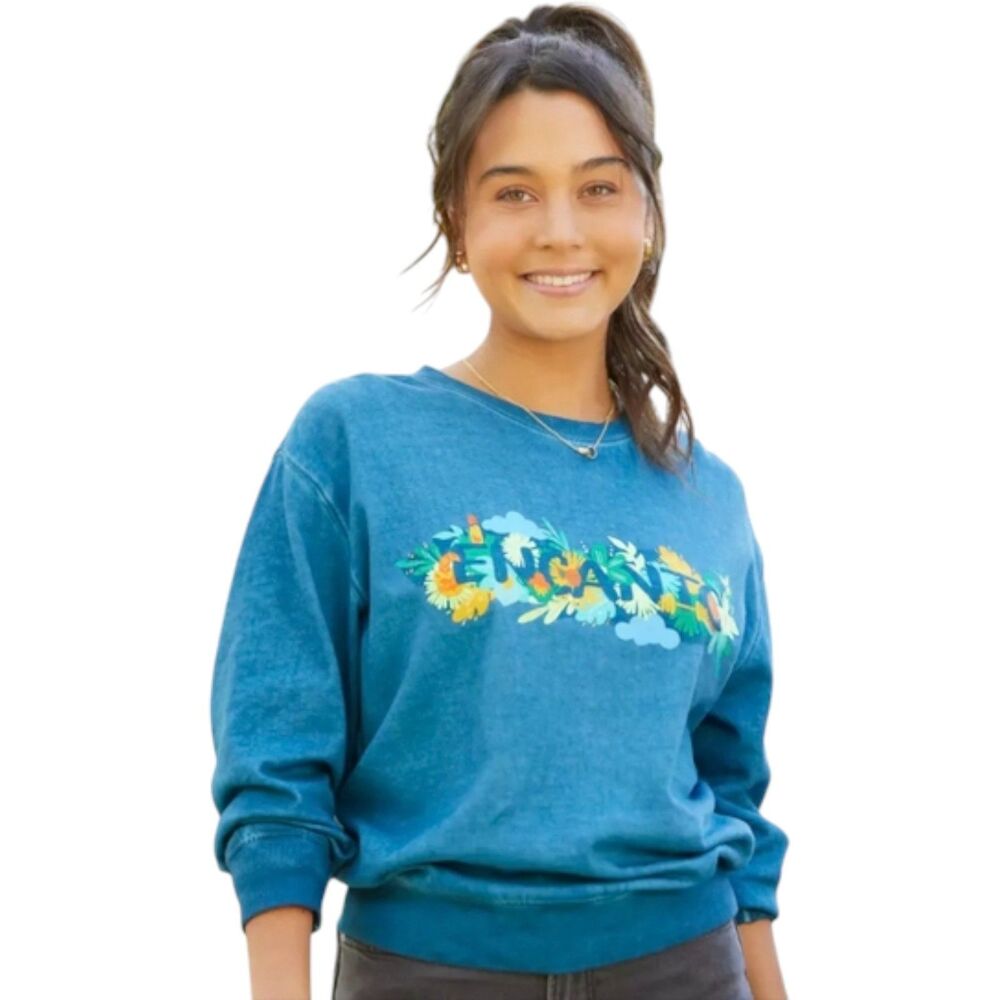 NWT Disney Encanto Graphic Sweatshirt Size Large Teal Blue Crewneck